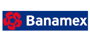 starlinkn,Brazil local payment,Bradesco,Brazil online bank tansfer
