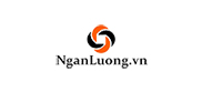 starlinkn,Singapore local payment,Singapore eNETs